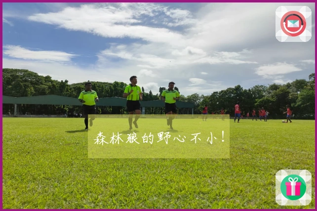 森林狼的野心不小!